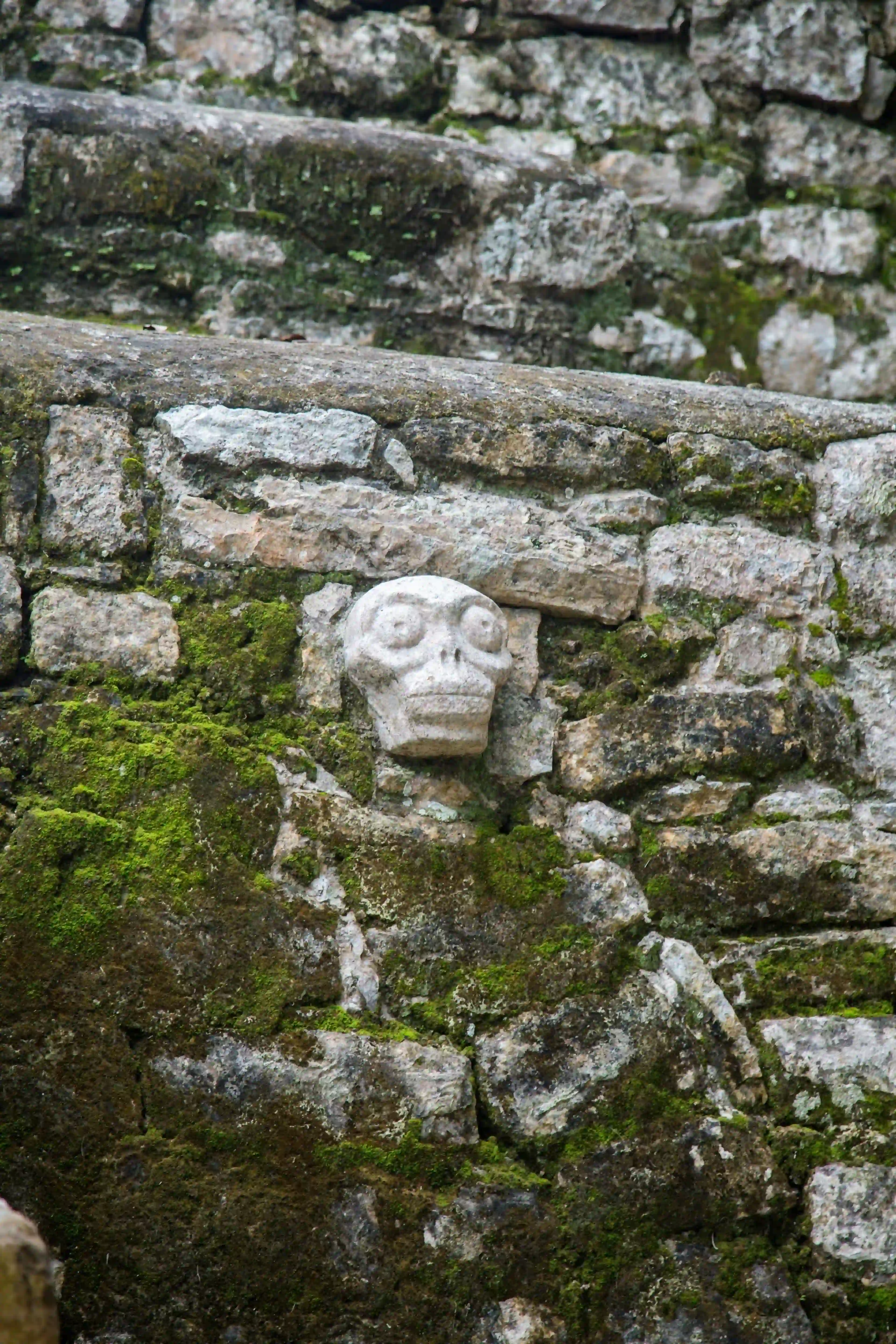 Hidden gems in Belize's rainforest